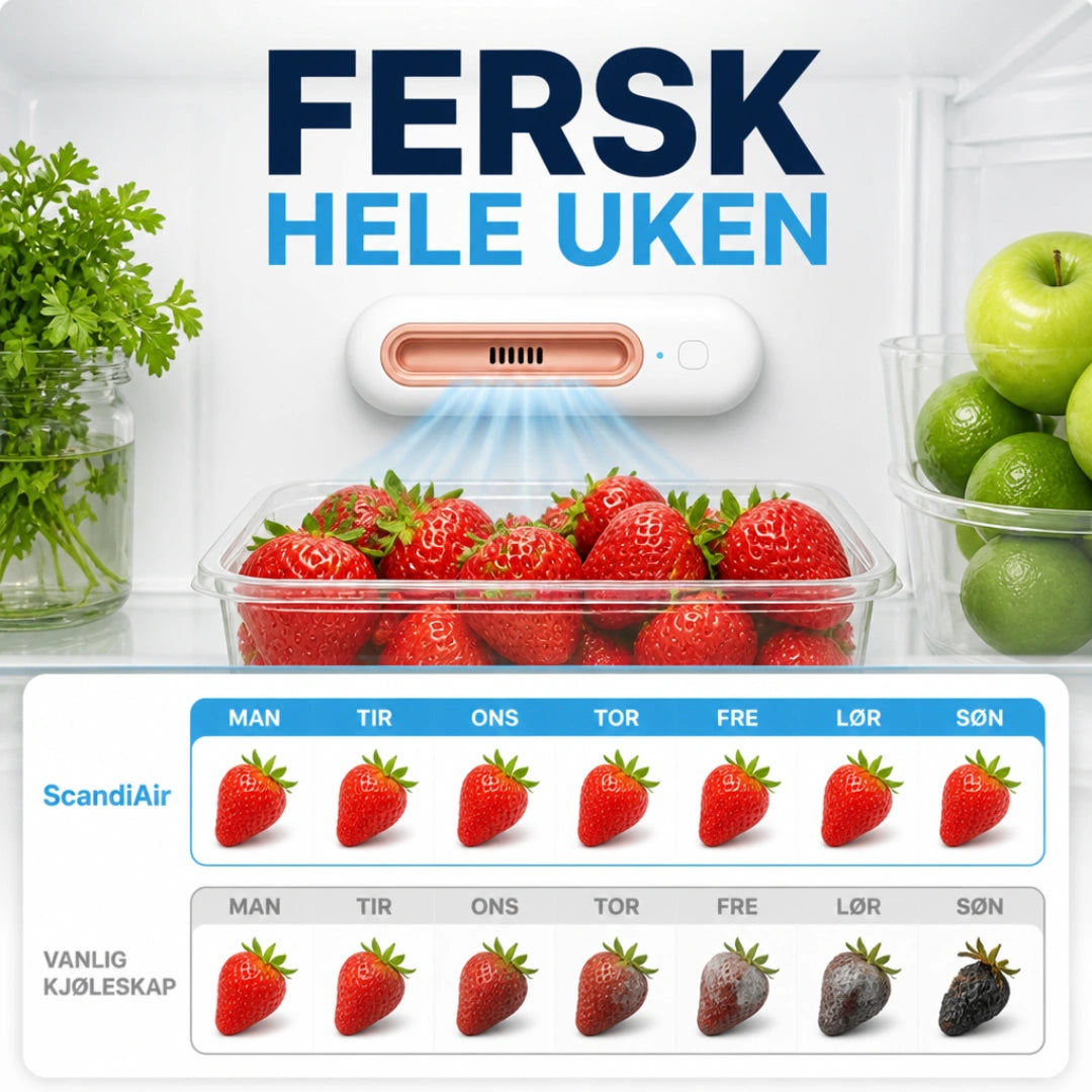 ScandiFridge™ - Hält Lebensmittel bis zu 4-mal länger frisch & reduziert deine Lebensmittelkosten