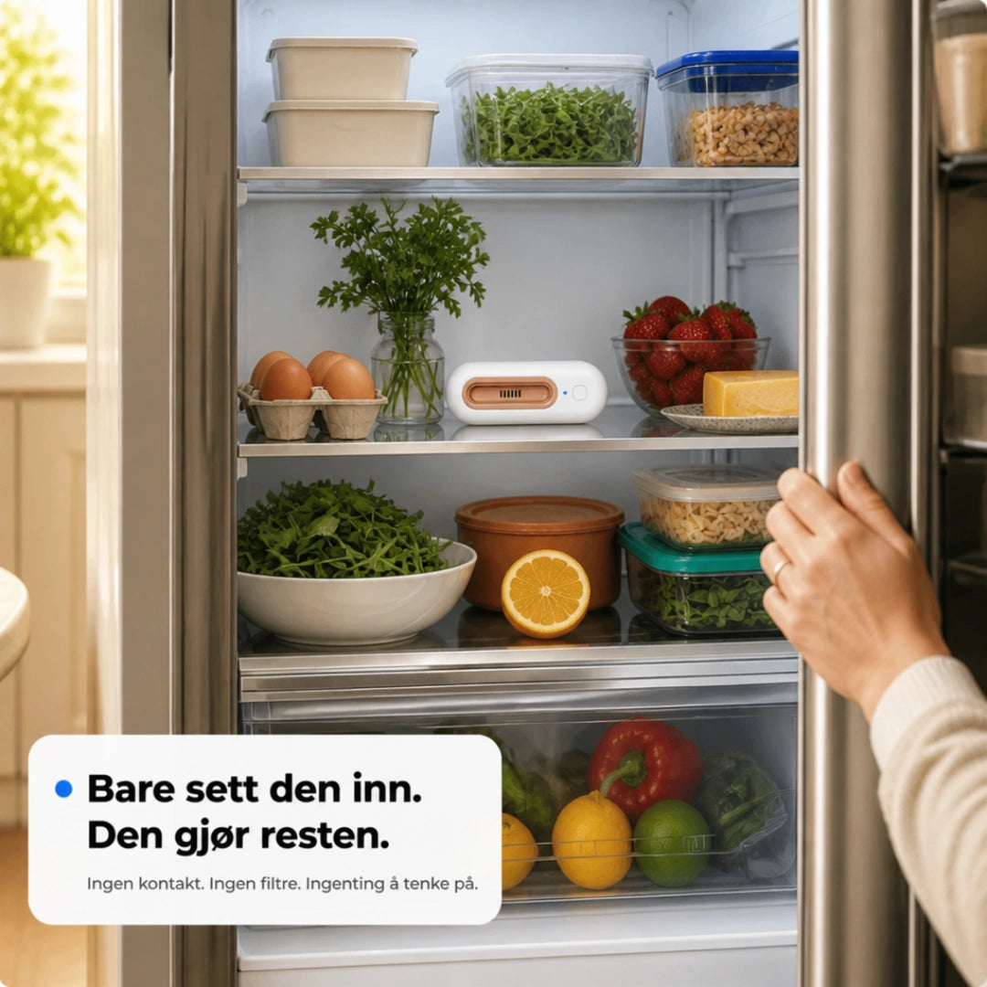 ScandiFridge™ - Hält Lebensmittel bis zu 4-mal länger frisch & reduziert deine Lebensmittelkosten
