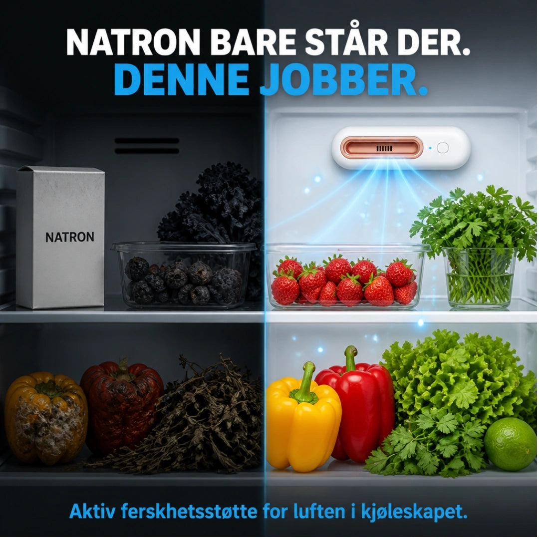 ScandiFridge™ - Hält Lebensmittel bis zu 4-mal länger frisch & reduziert deine Lebensmittelkosten